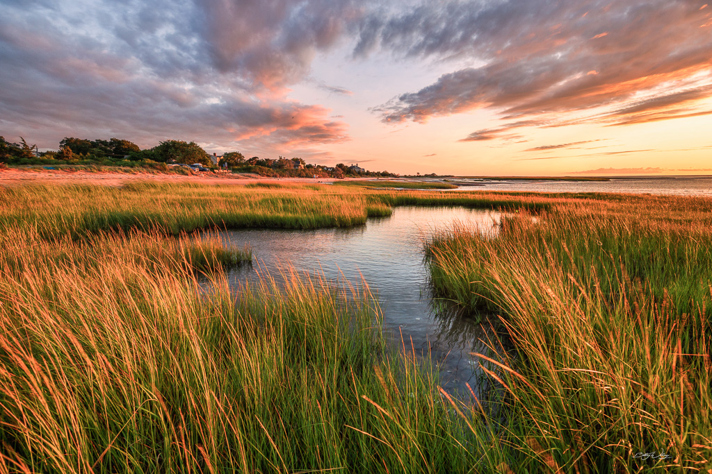 Boat-meadow-sunset-signed.jpg