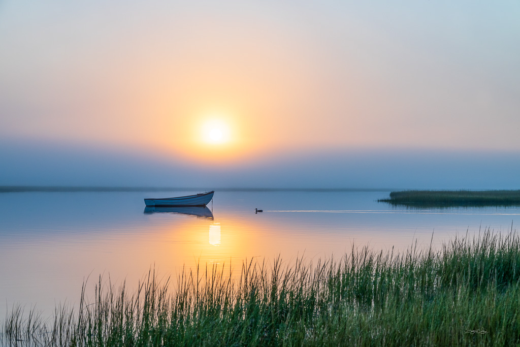 Foggy-morning-sunrise-signed.jpg