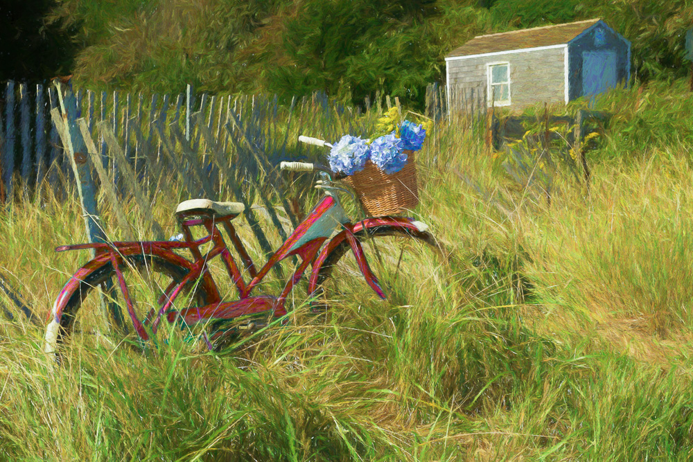 Red-Bike---Forest-Beach---Chatham.jpg
