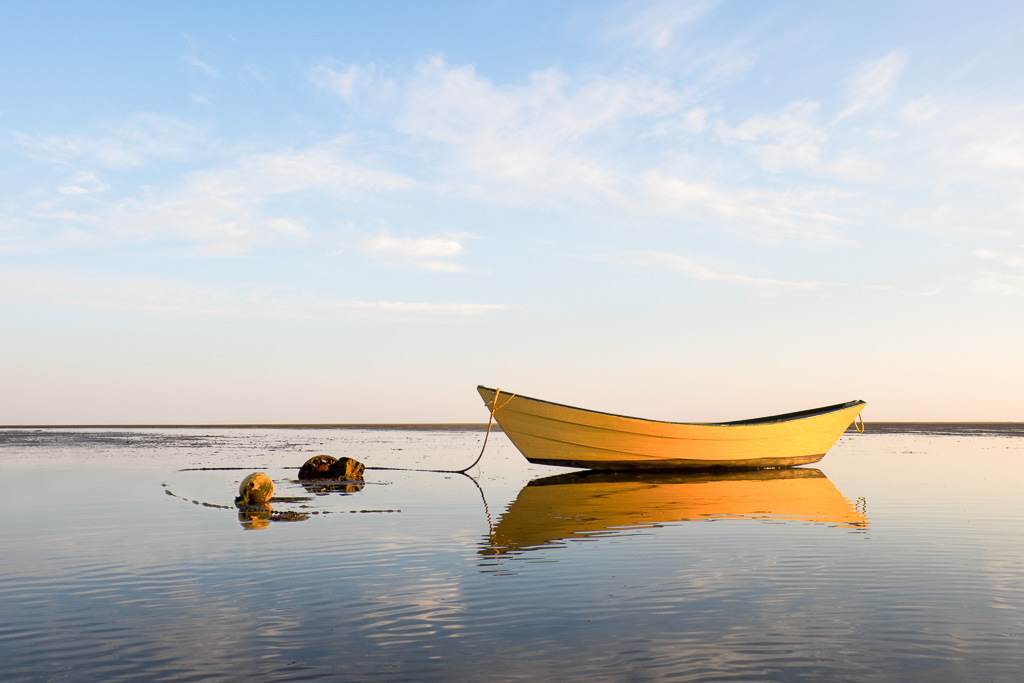 Paines-creek-yellow-dory.jpg