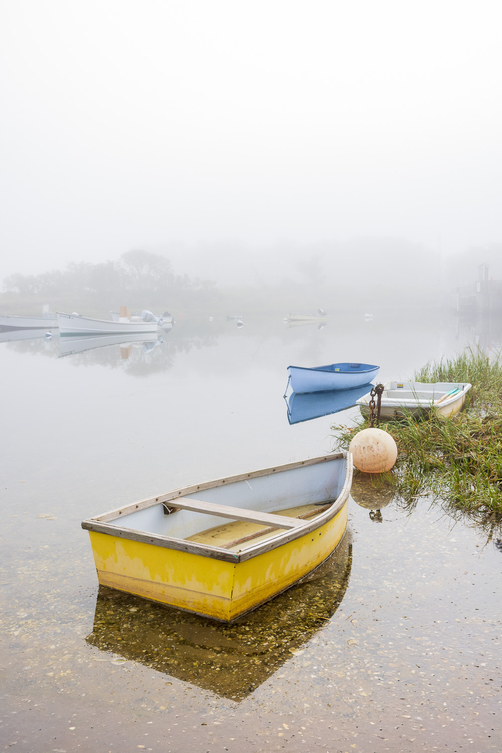 2K2A3837.jpg